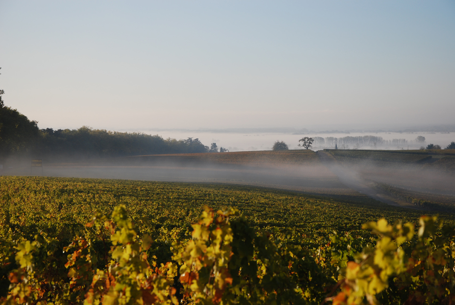 Pouilly-sur-Loire