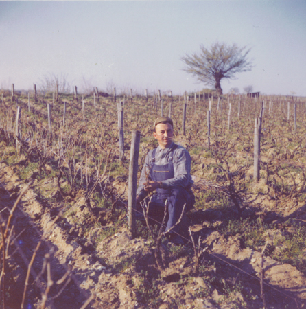 Guy Saget dans les vignes