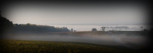 Le Domaine Saget - Pouilly sur Loire